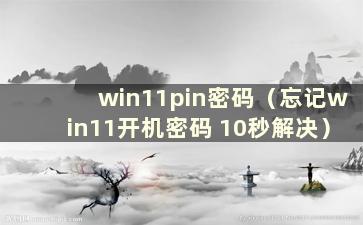 win11pin密码（忘记win11开机密码 10秒解决）